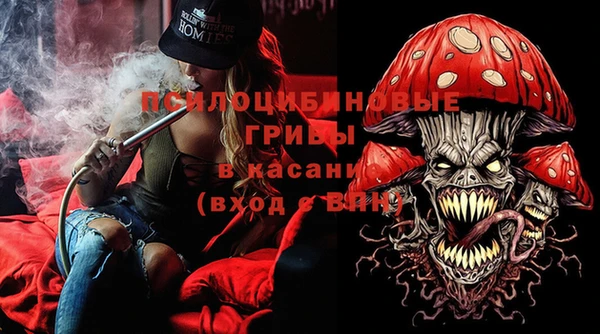 индика Лихославль