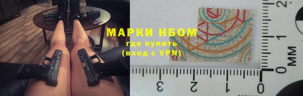 индика Лихославль