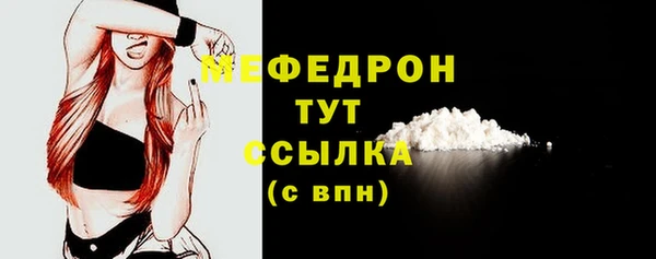 индика Лихославль