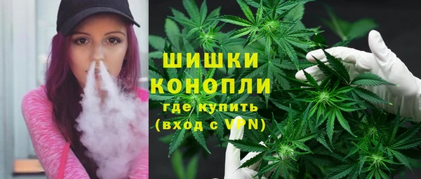 индика Лихославль