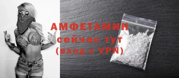индика Лихославль