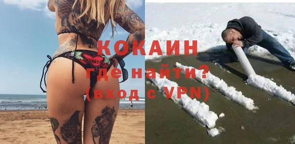 индика Лихославль