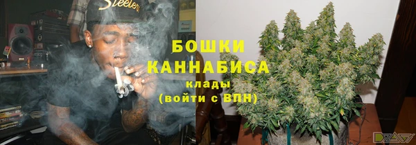 индика Лихославль