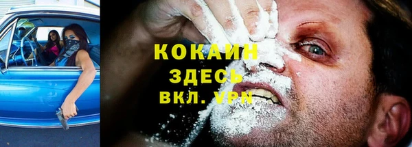 индика Лихославль
