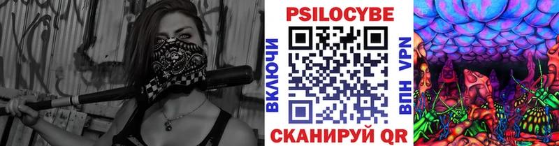 Псилоцибиновые грибы Psilocybine cubensis купить наркоту kraken как войти Черногорск